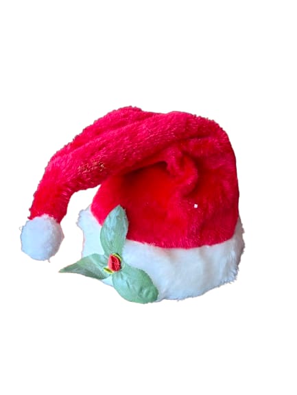 WhatsApp Image 2026-03-25 at 10.03.02 (9)